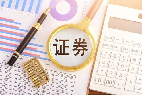 投資咨詢的可靠性與實力 以管理和規模為鏡